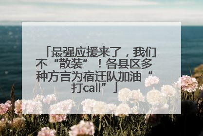 最强应援来了，我们不“散装”！各县区多种方言为宿迁队加油“打call”
