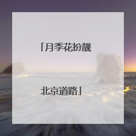 月季花扮靓北京道路