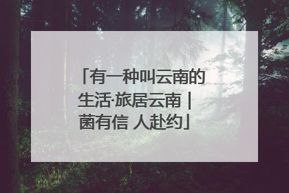 有一种叫云南的生活·旅居云南｜菌有信 人赴约