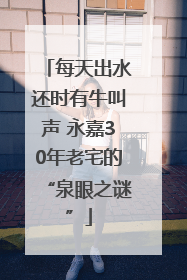 每天出水还时有牛叫声 永嘉30年老宅的“泉眼之谜”