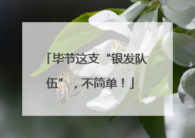 毕节这支“银发队伍”，不简单！