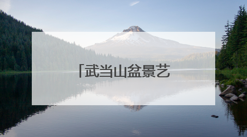 武当山盆景艺术文化展开展