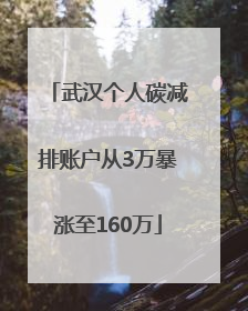 武汉个人碳减排账户从3万暴涨至160万