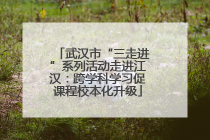 武汉市“三走进”系列活动走进江汉：跨学科学习促课程校本化升级