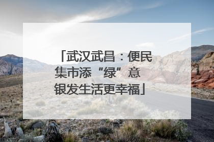 武汉武昌：便民集市添“绿”意 银发生活更幸福