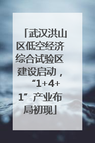 武汉洪山区低空经济综合试验区建设启动，“1+4+1”产业布局初现