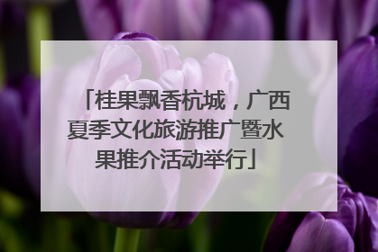 桂果飘香杭城，广西夏季文化旅游推广暨水果推介活动举行