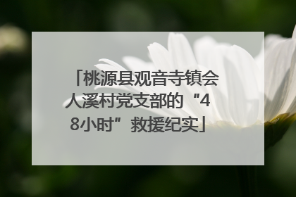 桃源县观音寺镇会人溪村党支部的“48小时”救援纪实