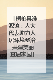 桐柏县淮源镇：人大代表助力人居环境整治 共建美丽宜居家园