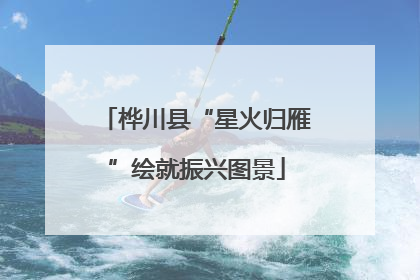 桦川县“星火归雁”绘就振兴图景