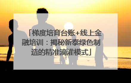 梯度培育台账+线上金融培训：揭秘新泰绿色制造的精准滴灌模式
