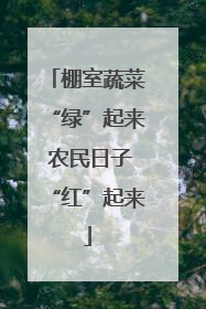 棚室蔬菜“绿”起来 农民日子“红”起来