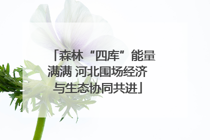 森林“四库”能量满满 河北围场经济与生态协同共进