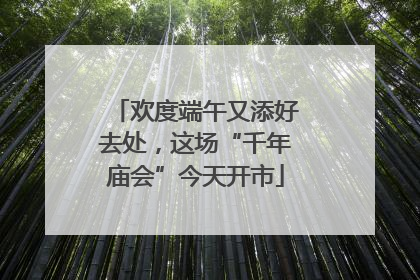 欢度端午又添好去处，这场“千年庙会”今天开市