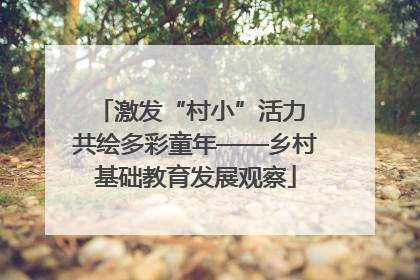 激发“村小”活力 共绘多彩童年——乡村基础教育发展观察