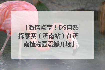 激情畅享！DS自然探索赛（济南站）在济南植物园震撼开场