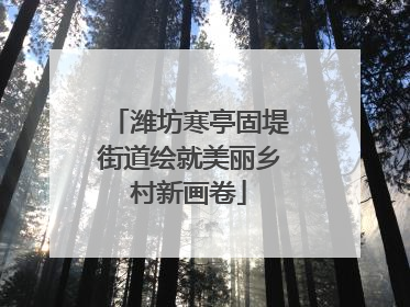 潍坊寒亭固堤街道绘就美丽乡村新画卷