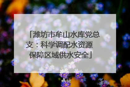 潍坊市牟山水库党总支：科学调配水资源 保障区域供水安全