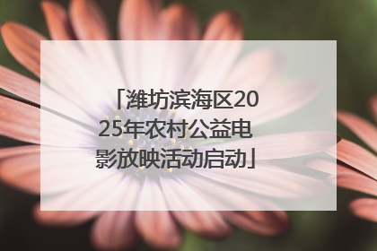 潍坊滨海区2025年农村公益电影放映活动启动