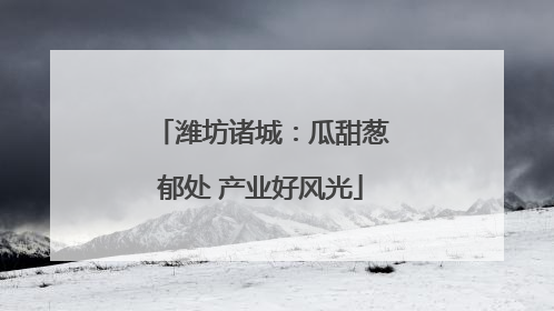 潍坊诸城：瓜甜葱郁处 产业好风光