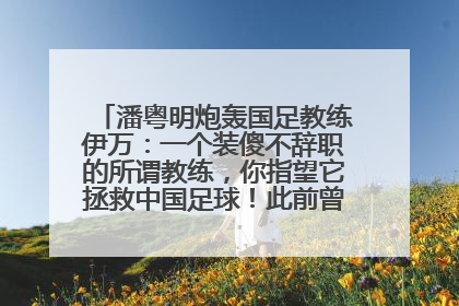 潘粤明炮轰国足教练伊万：一个装傻不辞职的所谓教练，你指望它拯救中国足球！此前曾多次发文评价国足