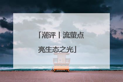 潮评丨流萤点亮生态之光