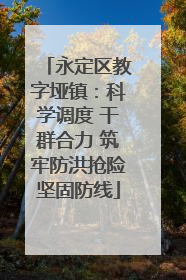 永定区教字垭镇：科学调度 干群合力 筑牢防洪抢险坚固防线