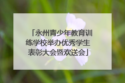 永州青少年教育训练学校举办优秀学生表彰大会暨欢送会