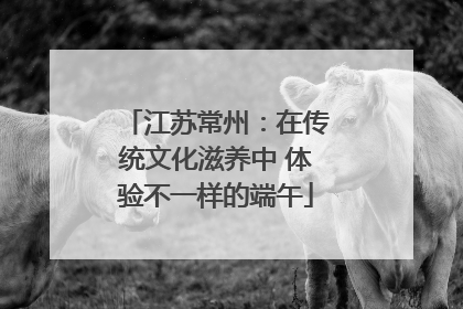 江苏常州：在传统文化滋养中 体验不一样的端午