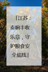 江苏：奏响丰收乐章，守护粮食安全底线