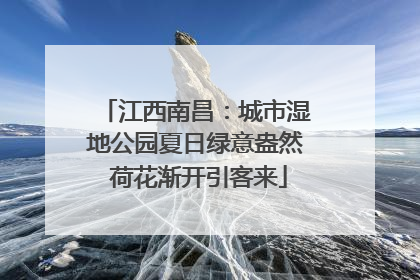 江西南昌：城市湿地公园夏日绿意盎然 荷花渐开引客来