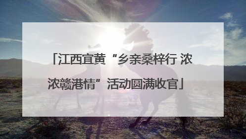 江西宜黄“乡亲桑梓行 浓浓赣港情”活动圆满收官