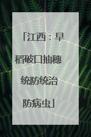 江西：早稻破口抽穗 统防统治防病虫