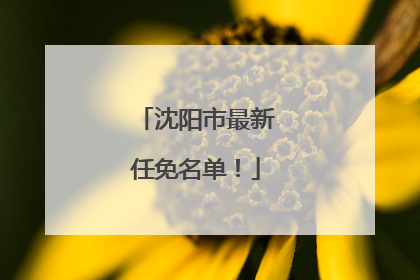 沈阳市最新任免名单！