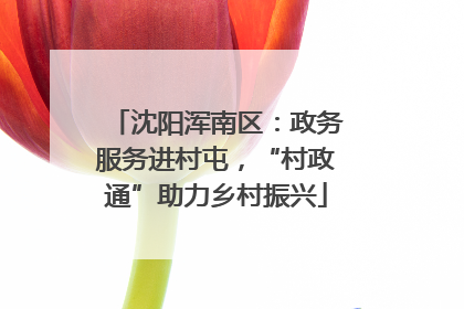 沈阳浑南区：政务服务进村屯，“村政通”助力乡村振兴