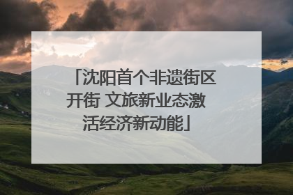 沈阳首个非遗街区开街 文旅新业态激活经济新动能
