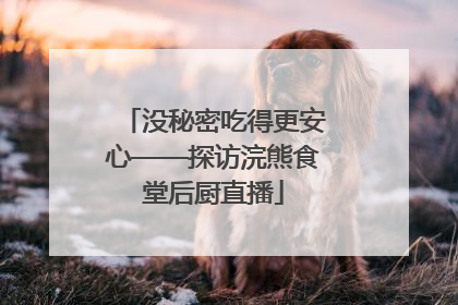 没秘密吃得更安心——探访浣熊食堂后厨直播