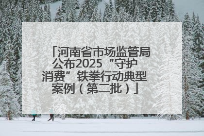 河南省市场监管局公布2025“守护消费”铁拳行动典型案例（第二批）