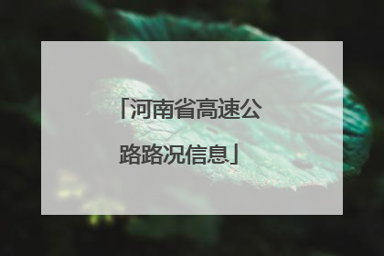 河南省高速公路路况信息