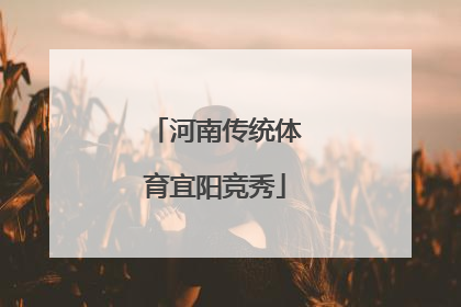 河南传统体育宜阳竞秀
