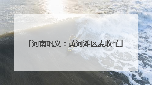 河南巩义：黄河滩区麦收忙
