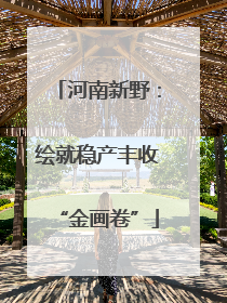 河南新野：绘就稳产丰收“金画卷”