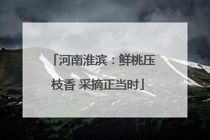 河南淮滨：鲜桃压枝香 采摘正当时