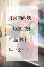 河南西峡：巧抓“机”遇 林下生“金”