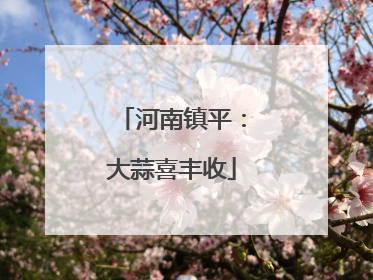 河南镇平：大蒜喜丰收