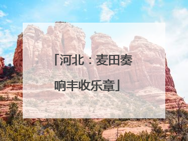 河北：麦田奏响丰收乐章