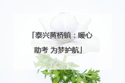 泰兴黄桥镇：暖心助考 为梦护航
