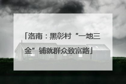洛南：黑彰村“一地三金”铺就群众致富路