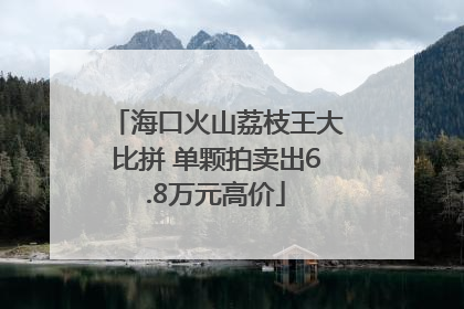 海口火山荔枝王大比拼 单颗拍卖出6.8万元高价