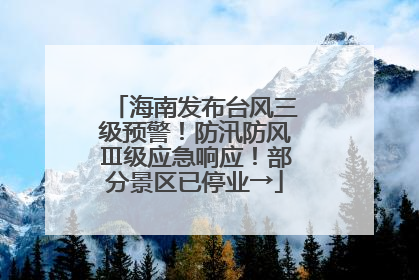 海南发布台风三级预警！防汛防风Ⅲ级应急响应！部分景区已停业→
